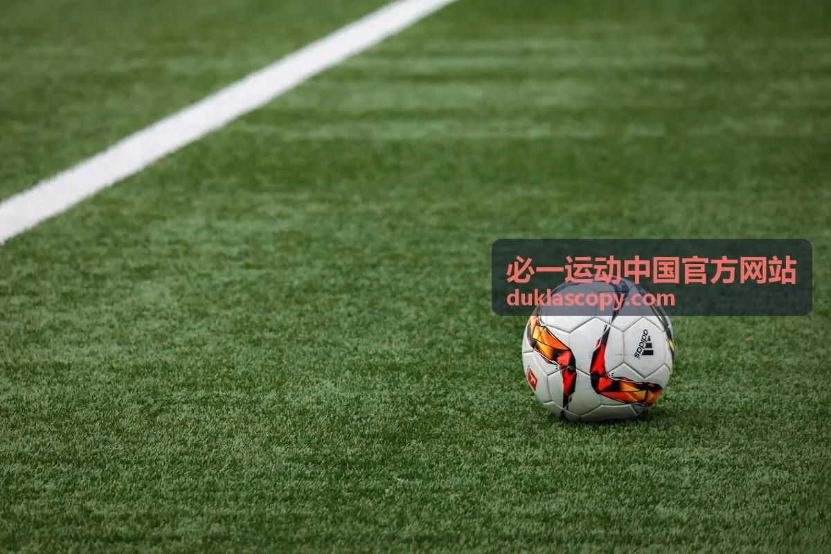 必一运动中国官方网站运动项目封面图