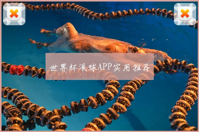 世界杯滚球APP实用推荐