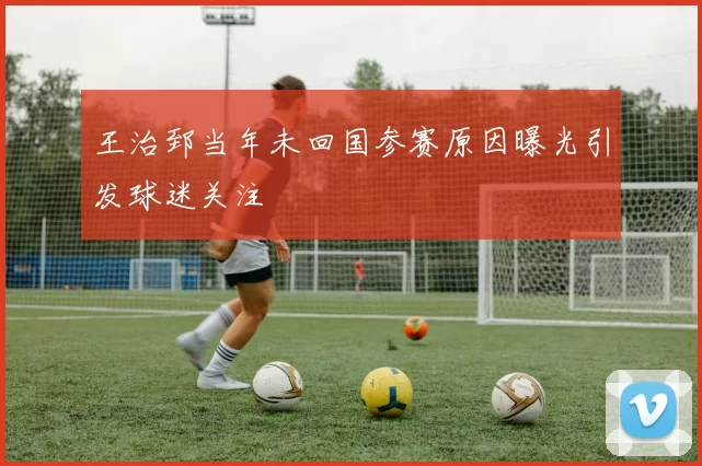 王治郅当年未回国参赛原因曝光引发球迷关注
