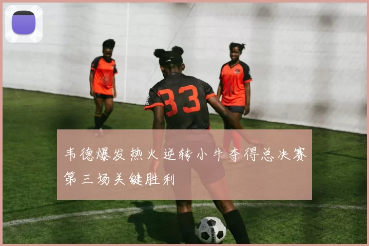 韦德爆发热火逆转小牛夺得总决赛第三场关键胜利