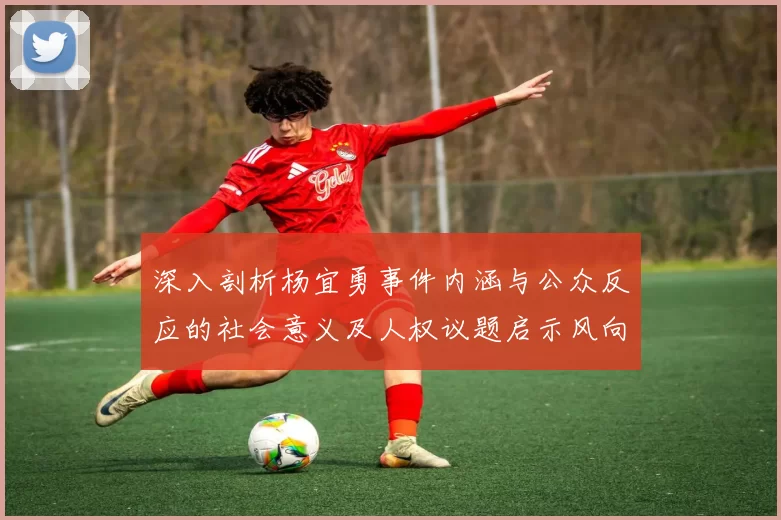 深入剖析杨宜勇事件内涵与公众反应的社会意义及人权议题启示风向