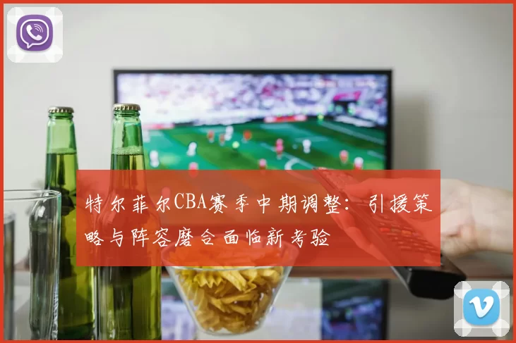特尔菲尔CBA赛季中期调整：引援策略与阵容磨合面临新考验