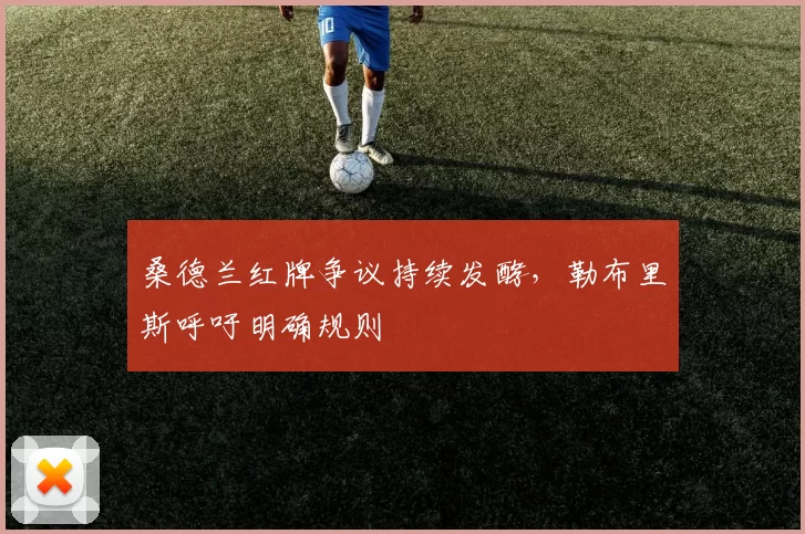 桑德兰红牌争议持续发酵，勒布里斯呼吁明确规则