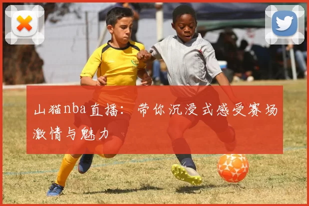 山猫nba直播：带你沉浸式感受赛场激情与魅力